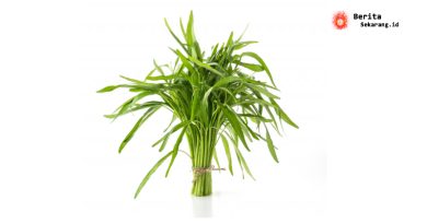 Kangkung Jarang Masuk Menu Rumah Sakit, Ini Penjelasan Ahli Gizi