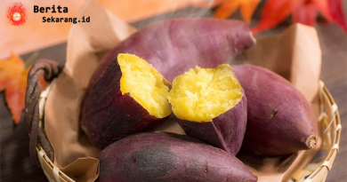 Dokter Bạch Mai Ungkap Makanan “Obat Alami” untuk Pencernaan Sehat Saat Tết