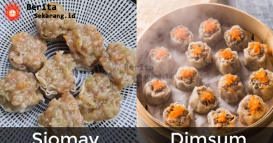 Perbedaan Dimsum dan Siomay, Sekilas Mirip tetapi Berbeda Asal dan Cara Penyajian