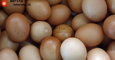 Berat Badan Turun 3 Kg dalam 5 Hari dengan Telur Rebus, Ini Tipsnya