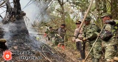 Karhutla Gunung Arjuno-Welirang Padam, Polisi Selidiki Penyebabnya